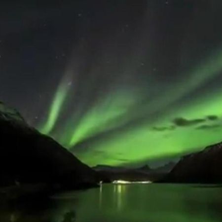 Koselig Leilighet I Narvik Sentrum 5 Soveplasser Gratis Parkering Og Gratis Internett Esterno foto