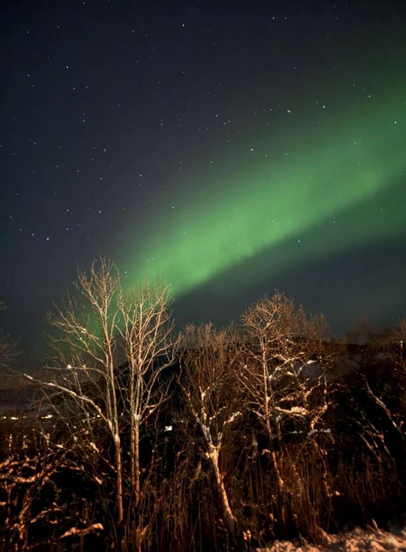 Koselig Leilighet I Narvik Sentrum 5 Soveplasser Gratis Parkering Og Gratis Internett Esterno foto