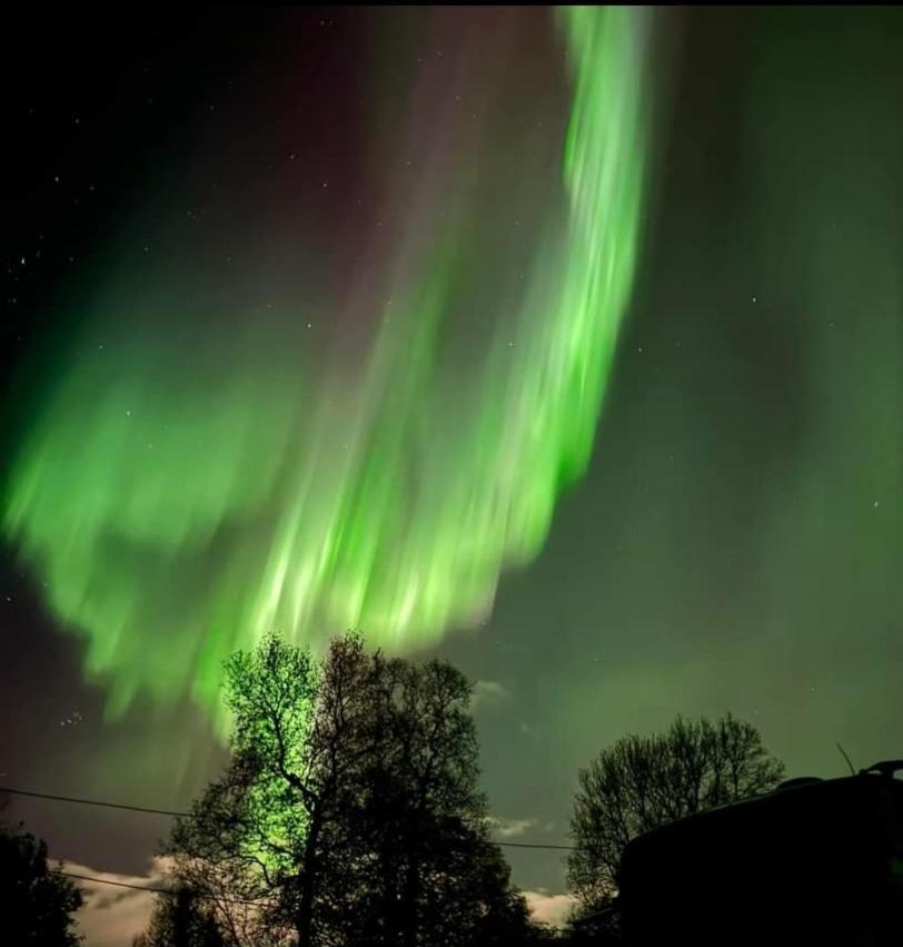 Koselig Leilighet I Narvik Sentrum 5 Soveplasser Gratis Parkering Og Gratis Internett Esterno foto